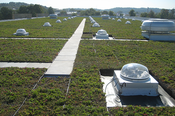 Vegetative “Green” Roof 57